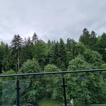 Apartament Dwupoziomowy Z Klimatyzacja Daire Krynica Zdroj Dış mekan fotoğraf
